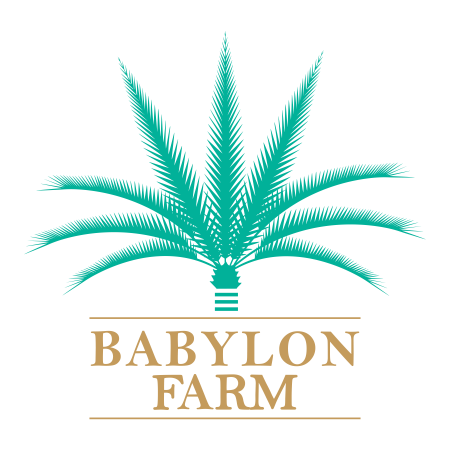 Babylon Farm Visit